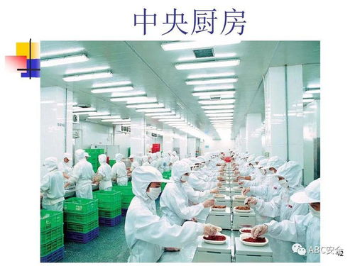 食品安全法與餐飲服務(wù) 筑牢健康防線(xiàn)，守護(hù)“舌尖上的安全”